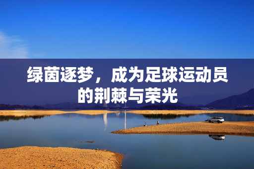 绿茵逐梦，成为足球运动员的荆棘与荣光