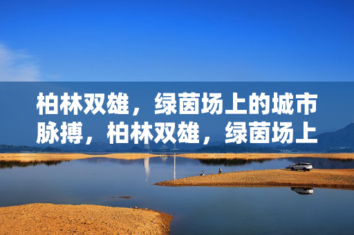 柏林双雄，绿茵场上的城市脉搏，柏林双雄，绿茵场上的城市脉搏