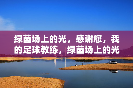 绿茵场上的光，感谢您，我的足球教练，绿茵场上的光，感恩教练