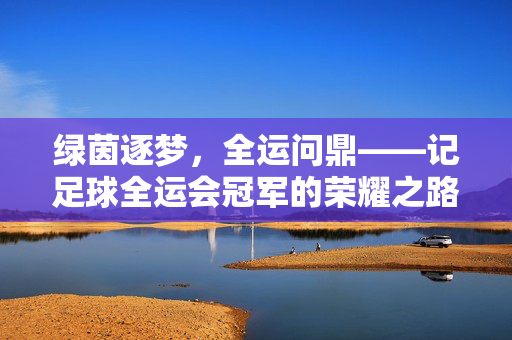 绿茵逐梦，全运问鼎——记足球全运会冠军的荣耀之路，绿茵逐梦，全运问鼎