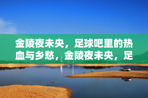 金陵夜未央，足球吧里的热血与乡愁，金陵夜未央，足球吧的热血乡愁