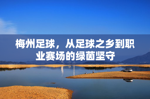 梅州足球，从足球之乡到职业赛场的绿茵坚守