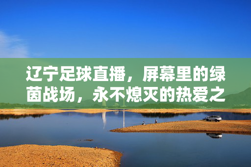 辽宁足球直播，屏幕里的绿茵战场，永不熄灭的热爱之火，辽宁足球直播，屏幕里的绿茵战场，永不熄灭的热爱之火