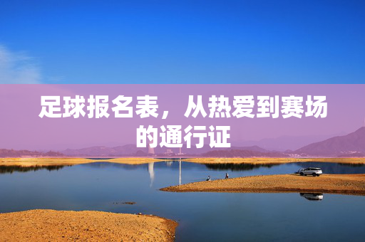 足球报名表，从热爱到赛场的通行证
