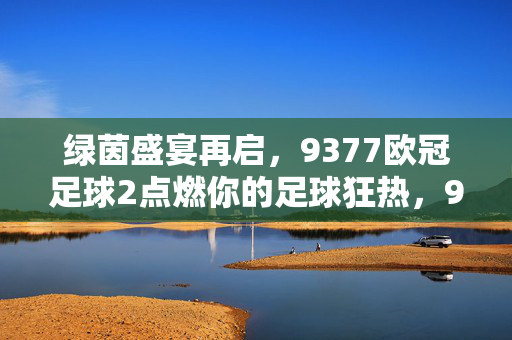 绿茵盛宴再启，9377欧冠足球2点燃你的足球狂热，9377欧冠足球2，绿茵盛宴点燃足球狂热