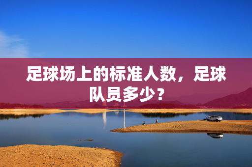 足球场上的标准人数，足球队员多少？