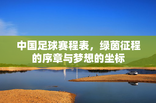 中国足球赛程表，绿茵征程的序章与梦想的坐标