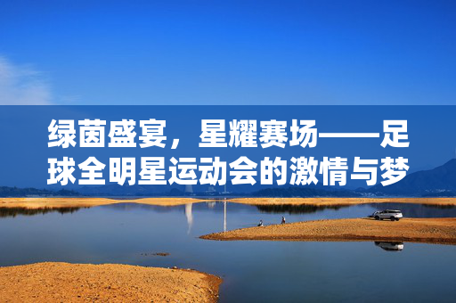 绿茵盛宴,星耀赛场——足球全明星运动会的激情与梦想,星耀绿茵,全明星燃情逐梦
