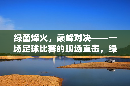 绿茵烽火，巅峰对决——一场足球比赛的现场直击，绿茵烽火巅峰对决现场直击