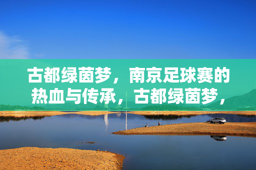 古都绿茵梦，南京足球赛的热血与传承，古都绿茵梦，南京足球的热血传承