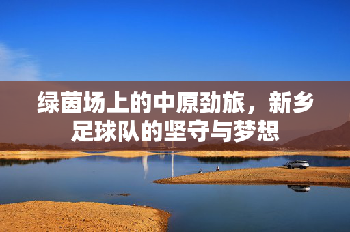 绿茵场上的中原劲旅，新乡足球队的坚守与梦想