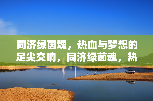 同济绿茵魂，热血与梦想的足尖交响，同济绿茵魂，热血梦想的足尖交响