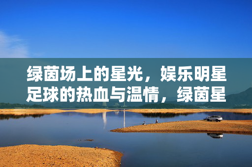 绿茵场上的星光，娱乐明星足球的热血与温情，绿茵星光，娱乐明星足球的热血与温情