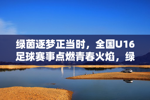 绿茵逐梦正当时，全国U16足球赛事点燃青春火焰，绿茵逐梦正当时，U16赛事燃青春火焰