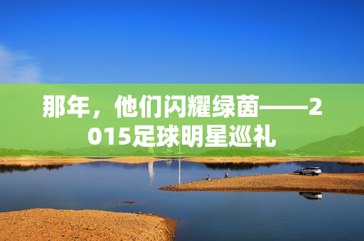 那年,他们闪耀绿茵——2015足球明星巡礼