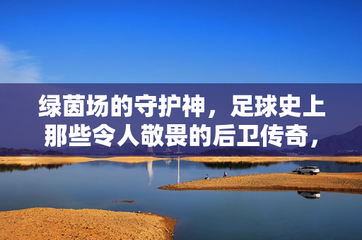 绿茵场的守护神，足球史上那些令人敬畏的后卫传奇，绿茵场的守护神，足球史上的传奇后卫