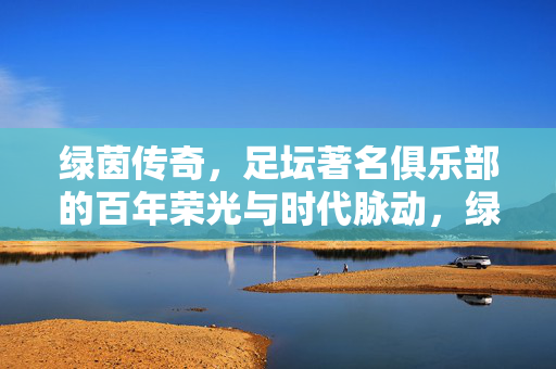 绿茵传奇，足坛著名俱乐部的百年荣光与时代脉动，绿茵传奇，足坛俱乐部的百年荣光与时代脉动