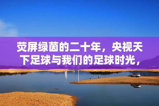 荧屏绿茵的二十年，央视天下足球与我们的足球时光，荧屏绿茵二十年，央视天下足球与我们的足球时光
