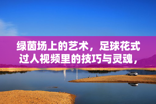 绿茵场上的艺术，足球花式过人视频里的技巧与灵魂，绿茵场艺术，足球花式过人的技巧与灵魂