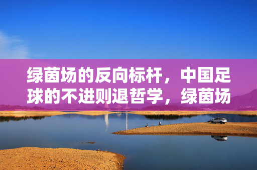 绿茵场的反向标杆，中国足球的不进则退哲学，绿茵场反向标杆，中国足球的不进则退哲学