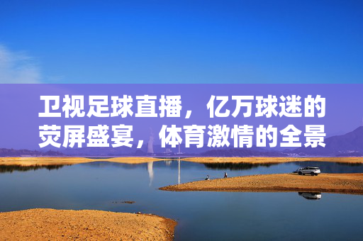 卫视足球直播，亿万球迷的荧屏盛宴，体育激情的全景呈现，卫视足球直播，亿万球迷的激情全景盛宴