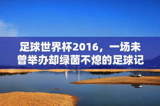 足球世界杯2016，一场未曾举办却绿茵不熄的足球记忆