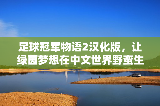 足球冠军物语2汉化版，让绿茵梦想在中文世界野蛮生长