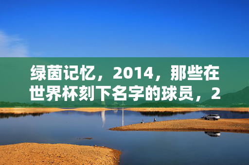 绿茵记忆，2014，那些在世界杯刻下名字的球员，2014世界杯，绿茵记忆中刻下名字的球员