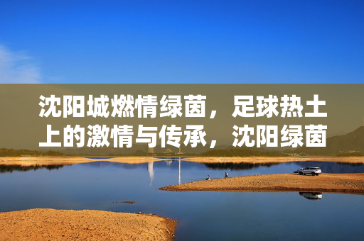 沈阳城燃情绿茵，足球热土上的激情与传承，沈阳绿茵，足球激情与传承