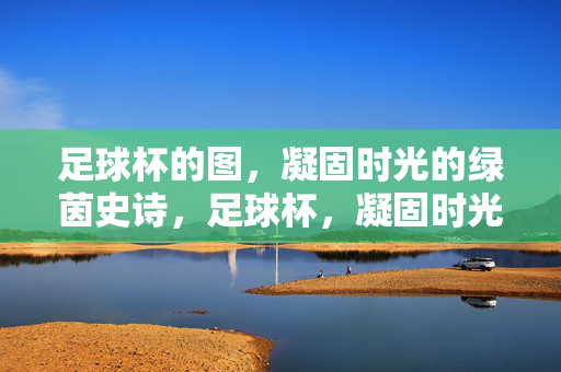 足球杯的图，凝固时光的绿茵史诗，足球杯，凝固时光的绿茵史诗