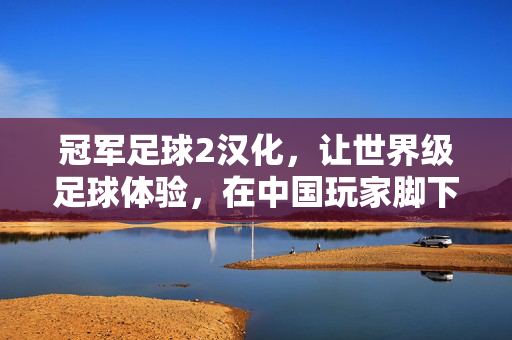冠军足球2汉化，让世界级足球体验，在中国玩家脚下开花，冠军足球2汉化，世界级足球体验在中国玩家脚下绽放