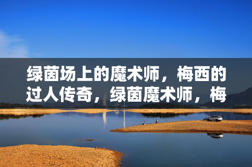 绿茵场上的魔术师，梅西的过人传奇，绿茵魔术师，梅西的过人传奇