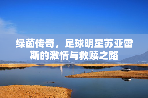 绿茵传奇，足球明星苏亚雷斯的激情与救赎之路