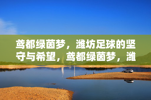 鸢都绿茵梦，潍坊足球的坚守与希望，鸢都绿茵梦，潍坊足球的坚守与希望
