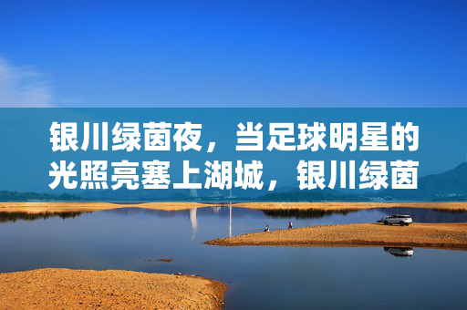 银川绿茵夜，当足球明星的光照亮塞上湖城，银川绿茵夜，足球明星之光点亮塞上湖城
