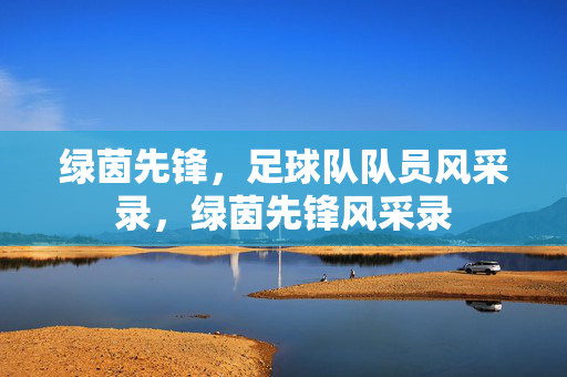 绿茵先锋，足球队队员风采录，绿茵先锋风采录