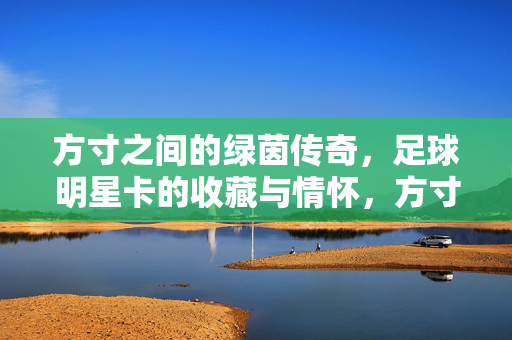 方寸之间的绿茵传奇，足球明星卡的收藏与情怀，方寸间的绿茵传奇，足球明星卡的收藏情怀