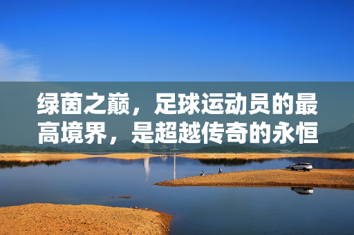 绿茵之巅，足球运动员的最高境界，是超越传奇的永恒丰碑，绿茵之巅，超越传奇的永恒丰碑