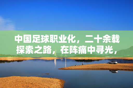 中国足球职业化，二十余载探索之路，在阵痛中寻光，中国足球职业化廿载探索 阵痛中寻光