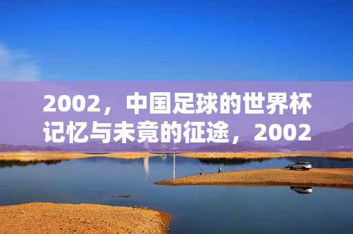 2002，中国足球的世界杯记忆与未竟的征途，2002，中国足球世界杯记忆与未竟征途