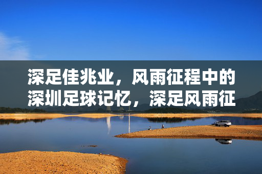 深足佳兆业，风雨征程中的深圳足球记忆，深足风雨征程，深圳足球记忆