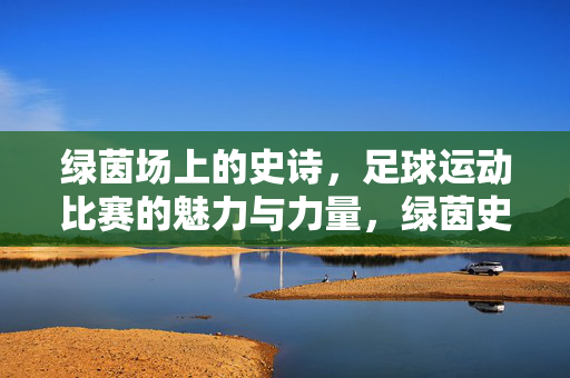 绿茵场上的史诗，足球运动比赛的魅力与力量，绿茵史诗，足球的魅力与力量