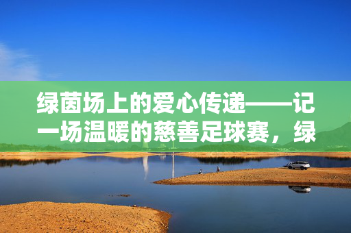 绿茵场上的爱心传递——记一场温暖的慈善足球赛，绿茵场上的爱心传递