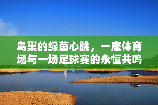 鸟巢的绿茵心跳，一座体育场与一场足球赛的永恒共鸣，鸟巢绿茵心跳，体育场与足球赛的永恒共鸣