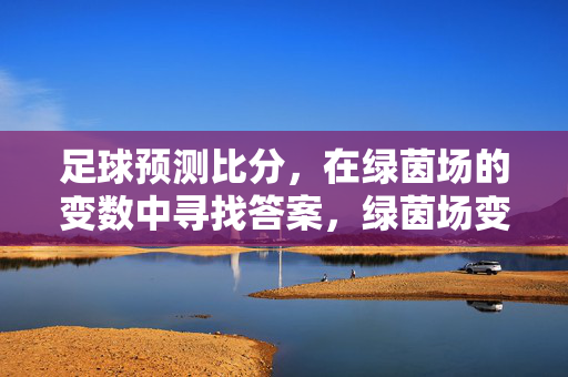 足球预测比分，在绿茵场的变数中寻找答案，绿茵场变数中，预测比分的答案