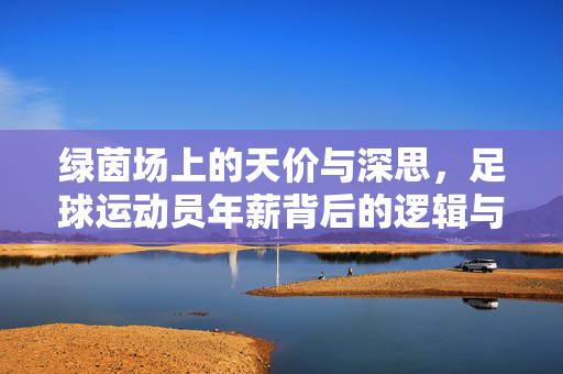 绿茵场上的天价与深思，足球运动员年薪背后的逻辑与争议，绿茵场天价年薪的逻辑与争议