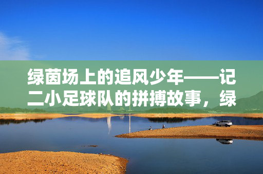 绿茵场上的追风少年——记二小足球队的拼搏故事，绿茵追风少年，二小足球队的拼搏故事