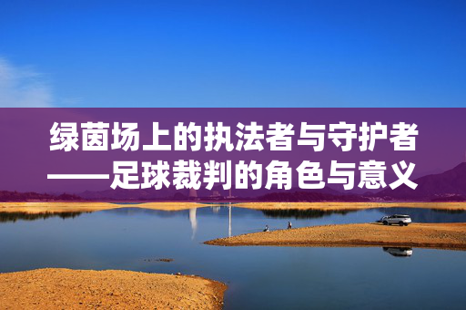绿茵场上的执法者与守护者——足球裁判的角色与意义，足球裁判，绿茵场上的执法者与守护者