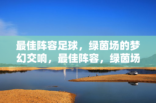 最佳阵容足球，绿茵场的梦幻交响，最佳阵容，绿茵场的梦幻交响