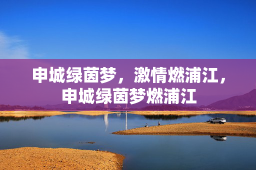申城绿茵梦，激情燃浦江，申城绿茵梦燃浦江